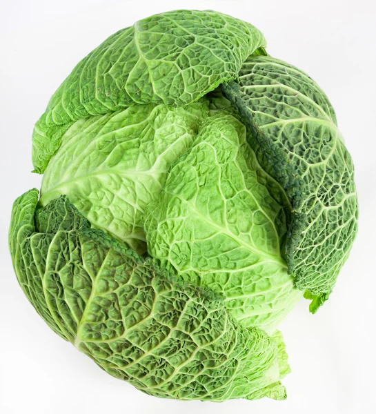 Green savoy — Stock Photo, Image