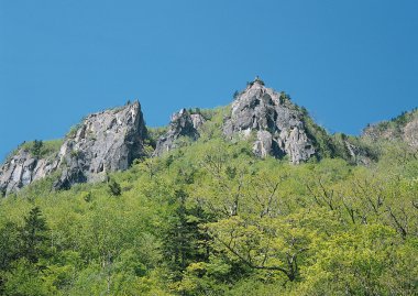manzara resim
