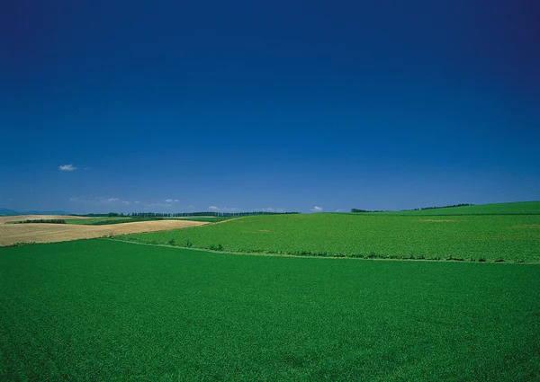 Imagen del paisaje — Foto de Stock