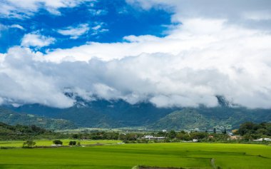 Yeşil pirinç tarlaları, beyaz bulutlar, Hualien, Tayvan 'daki dağlar.