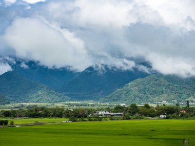 Yeşil pirinç tarlaları, beyaz bulutlar, Hualien, Tayvan 'daki dağlar.