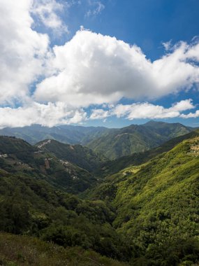 Tayvan 'daki Yeşil Dağ Ormanı.