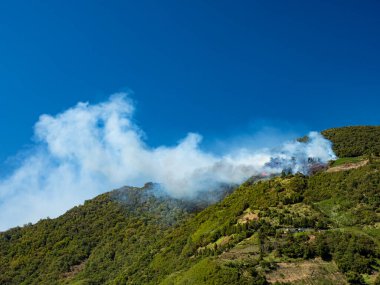 Tayvan 'daki orman yangını..
