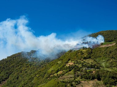 Tayvan 'daki orman yangını..
