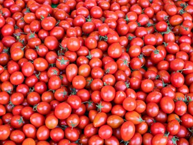 Markette kiraz domatesleri.