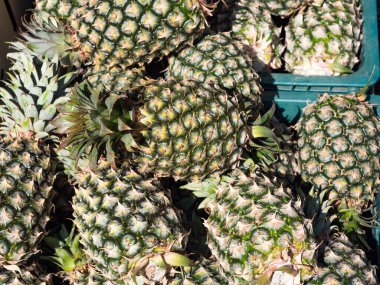 Arkaplan olarak piyasada çok sayıda olgun ananas yığını