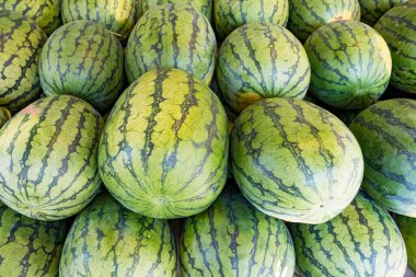 Pazar yerinde taze organik karpuzlar