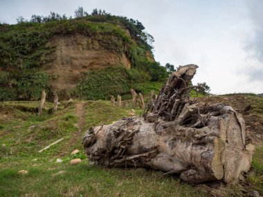 Tayvan 'daki Büyük Kanyon ya da Su Bufalosu Vadisi.