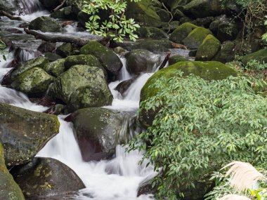 Bir derede tatlı su kayaların üzerinden yavaş çekimde bir yol buluyor.