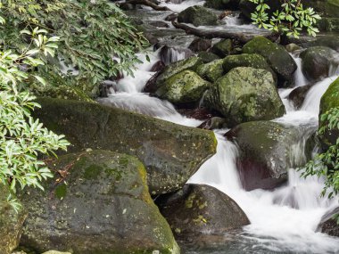 Bir derede tatlı su kayaların üzerinden yavaş çekimde bir yol buluyor.