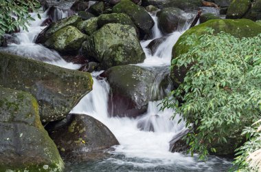 Bir derede tatlı su kayaların üzerinden yavaş çekimde bir yol buluyor.