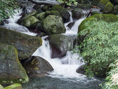 Bir derede tatlı su kayaların üzerinden yavaş çekimde bir yol buluyor.