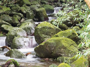 Bir derede tatlı su kayaların üzerinden yavaş çekimde bir yol buluyor.