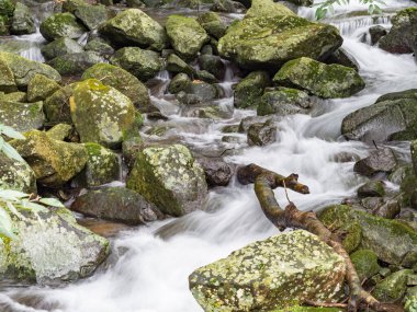 Bir derede tatlı su kayaların üzerinden yavaş çekimde bir yol buluyor.