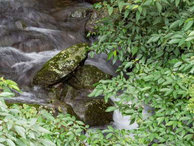 Bir derede tatlı su kayaların üzerinden yavaş çekimde bir yol buluyor.