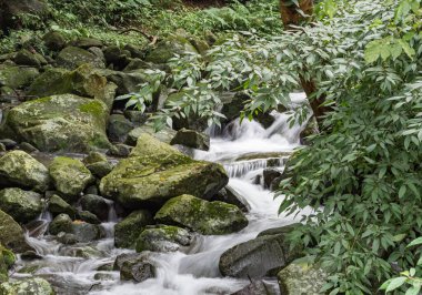 Bir derede tatlı su kayaların üzerinden yavaş çekimde bir yol buluyor.