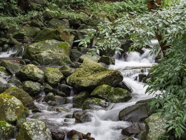 Bir derede tatlı su kayaların üzerinden yavaş çekimde bir yol buluyor.