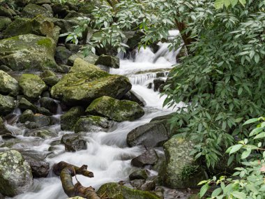 Bir derede tatlı su kayaların üzerinden yavaş çekimde bir yol buluyor.