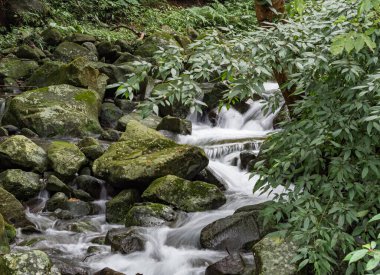 Bir derede tatlı su kayaların üzerinden yavaş çekimde bir yol buluyor.