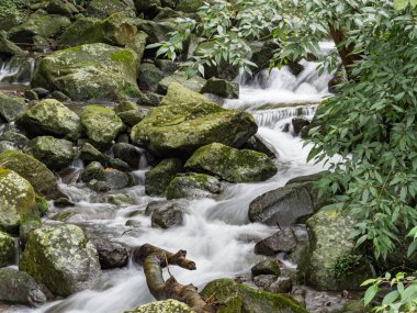 Bir derede tatlı su kayaların üzerinden yavaş çekimde bir yol buluyor.