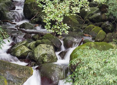 Bir derede tatlı su kayaların üzerinden yavaş çekimde bir yol buluyor.