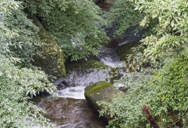 Bir derede tatlı su kayaların üzerinden yavaş çekimde bir yol buluyor.