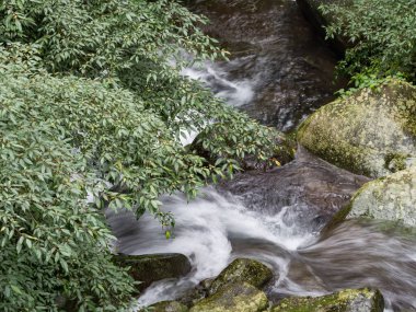 Bir derede tatlı su kayaların üzerinden yavaş çekimde bir yol buluyor.