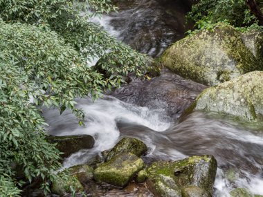 Bir derede tatlı su kayaların üzerinden yavaş çekimde bir yol buluyor.