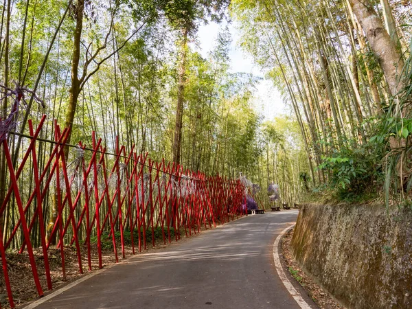 Der Wunderschöne Bambuswald Chiayi Taiwan — Stockfoto