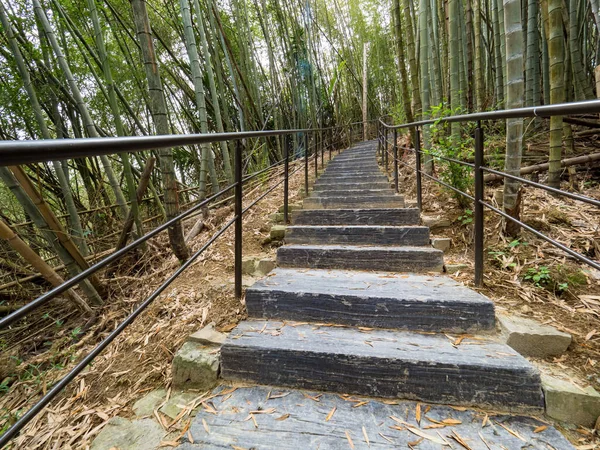 Der Wunderschöne Bambuswald Chiayi Taiwan — Stockfoto