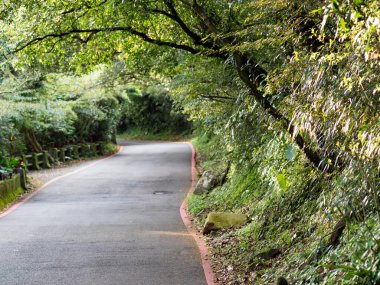 Taipei, Tayvan 'daki güzel yeşil ormanlık alandan geçen yol..