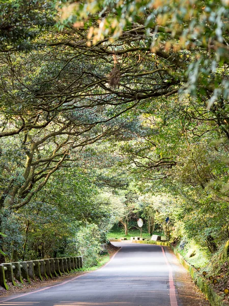 Дорога Через Чудові Зелені Ліси Тайбеї Тайвань — стокове фото