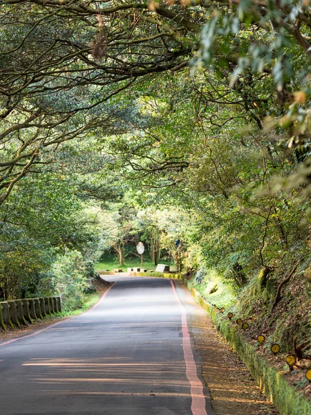 Дорога Через Чудові Зелені Ліси Тайбеї Тайвань — стокове фото