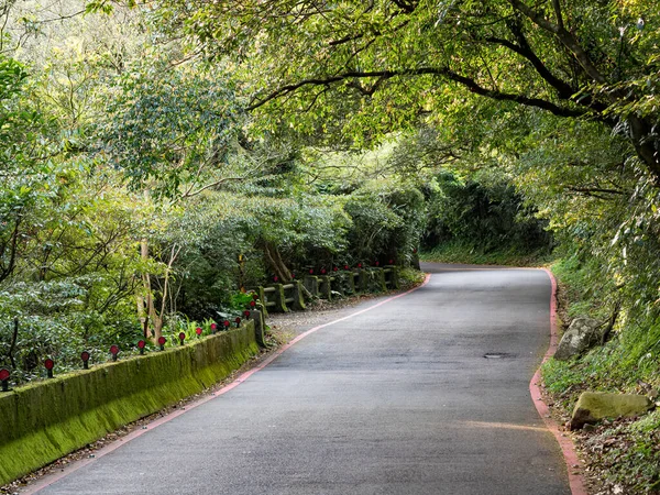 Strada Attraverso Bellissimi Boschi Verdi Taipei Taiwan — Foto Stock