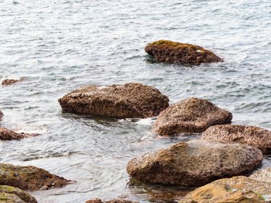 kaya oluşumları ve yeşil yosun büyümesi ile ıslak plaj