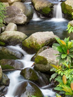 Yeşil ormandaki taşların üzerindeki yeşil yosunlar küçük şelaleli bir nehirde..