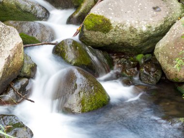 Yeşil ormandaki taşların üzerindeki yeşil yosunlar küçük şelaleli bir nehirde..
