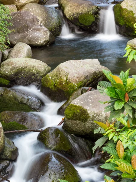 Yeşil ormandaki taşların üzerindeki yeşil yosunlar küçük şelaleli bir nehirde..