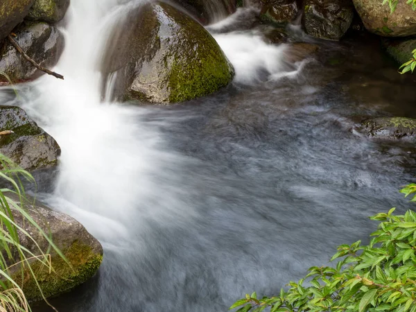 Yeşil ormandaki taşların üzerindeki yeşil yosunlar küçük şelaleli bir nehirde..