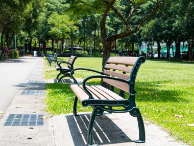 Public park in summer, green alley, footpath and old-fashioned wooden bench in the shade of trees, sunny day.