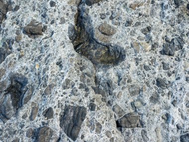 Vibrant colors of aquatic life in rock pools and the tidal zone of rocky coastline beach in hualien, Taiwan.