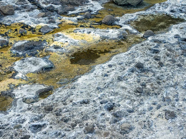 Vibrant colors of aquatic life in rock pools and the tidal zone of rocky coastline beach in hualien, Taiwan.