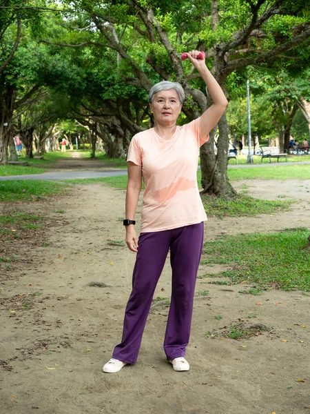 Portrait Mature Asian Woman 60S Wearing Sports Clothing Doing Arm — Stock Photo, Image