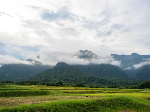 台湾花莲夏天的稻田和雾山 — 图库照片