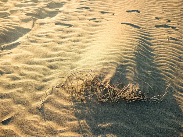 Praia Arenosa Como Fundo Papel Parede — Fotografia de Stock
