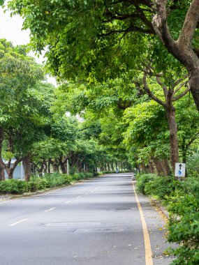 Ağaçların altında düz yolda peyzaj