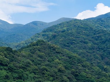 Sabahları dağlar. Güzel doğal manzara