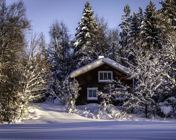 Inverno em casa — Fotografia de Stock