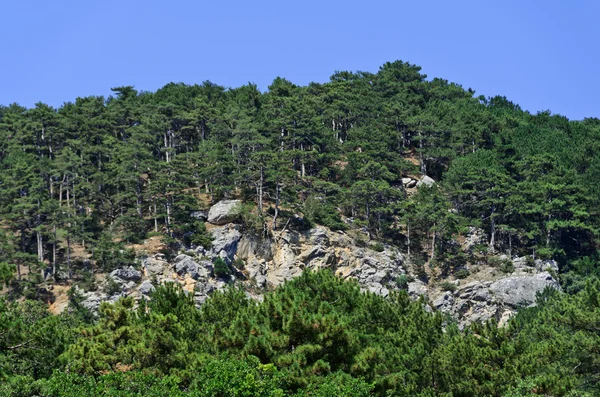 Gran montaña —  Fotos de Stock