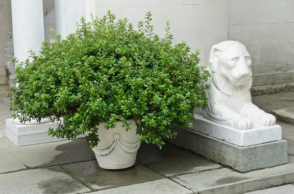 Bush and statue — Stock Photo, Image